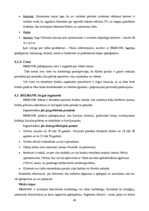 Prakses atskaite 'A/s "Bigbank" Latvijas filiāle', 42.