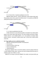 Prakses atskaite 'A/s "Bigbank" Latvijas filiāle', 44.