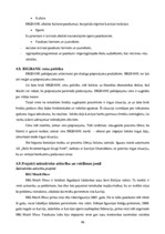 Prakses atskaite 'A/s "Bigbank" Latvijas filiāle', 46.