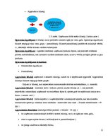 Referāts 'SIA "Jelgavas tipogrāfija" darbība un iespējas poligrāfijas nozarē', 21.