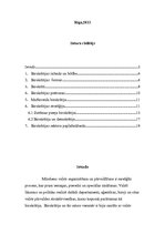 Referāts 'Birokrātijas būtība', 2.