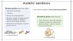 Prezentācija 'Pleirīti', 19.