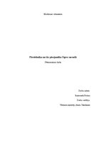 Referāts 'Pirotehnika un tās izplatība Ogres novadā', 1.