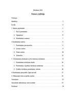 Referāts 'Pirotehnika un tās izplatība Ogres novadā', 2.