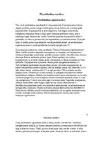 Referāts 'Pirotehnika un tās izplatība Ogres novadā', 9.