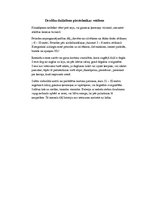 Referāts 'Pirotehnika un tās izplatība Ogres novadā', 17.