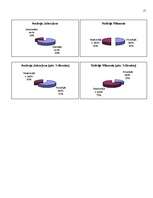 Referāts 'Atmiņas izpēte', 19.