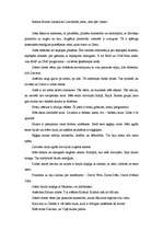 Referāts 'Lielvārdes jostas tulkojums', 2.