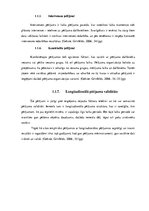 Referāts 'Longitudionāls pētījums', 6.