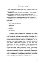 Referāts 'Globalizācija un kultūra', 6.