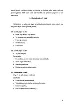 Referāts 'Globalizācija un kultūra', 8.