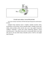 Referāts 'Serbijas makroekonomiskās situācijas izvērtējums un tās realizētās makroekonomis', 12.