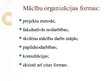 Prezentācija 'Mācību organizācijas formas', 4.