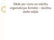 Prezentācija 'Mācību organizācijas formas', 6.