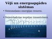 Prezentācija 'Alternatīvās enerģijas veidi, to pielietojuma ekonomiskie aspekti', 9.