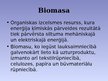 Prezentācija 'Alternatīvās enerģijas veidi, to pielietojuma ekonomiskie aspekti', 16.