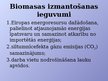 Prezentācija 'Alternatīvās enerģijas veidi, to pielietojuma ekonomiskie aspekti', 19.
