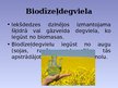 Prezentācija 'Alternatīvās enerģijas veidi, to pielietojuma ekonomiskie aspekti', 21.