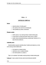 Konspekts 'Lietišķās spēles', 21.