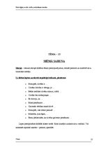 Konspekts 'Lietišķās spēles', 25.