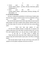 Referāts 'Ekonomikas cikliskā attīstība. Kondratjeva garo ciklu raskturojums', 13.