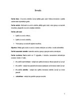 Referāts 'Dovnhila attīstība Latvijā', 3.