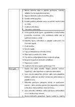 Biznesa plāns 'Biznesa plāns SIA “Tactile book” - auduma grāmatas bērnu attistībai', 9.