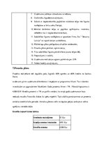 Biznesa plāns 'Biznesa plāns SIA “Tactile book” - auduma grāmatas bērnu attistībai', 13.