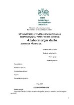 Konspekts 'Koksnes pārbaude', 3.