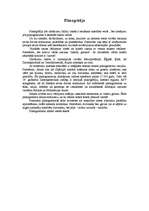 Referāts 'Rakstības attīstība', 3.