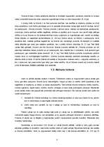 Referāts 'Aktīvais tūrisms', 5.