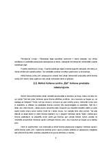 Referāts 'Aktīvais tūrisms', 8.