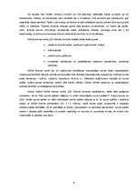 Referāts 'Aktīvais tūrisms', 9.