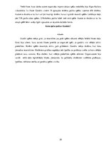 Referāts 'Improvizācijas teātri Latvijā', 20.