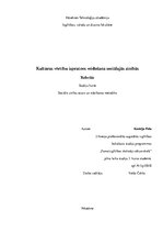 Referāts 'Kultūras vērtību izpratnes veidošana sociālajās zinībās', 1.