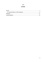 Referāts 'Kultūras vērtību izpratnes veidošana sociālajās zinībās', 2.