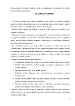Referāts 'Kultūras vērtību izpratnes veidošana sociālajās zinībās', 4.