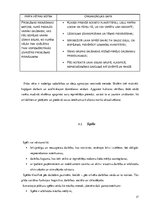 Referāts 'Kultūras vērtību izpratnes veidošana sociālajās zinībās', 17.