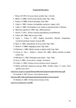 Referāts 'Kultūras vērtību izpratnes veidošana sociālajās zinībās', 23.