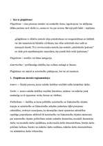 Konspekts 'Plaģiātisms', 2.