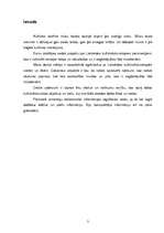 Referāts 'Lielvārdes kultūrvēsturiskie pieminekļi', 3.