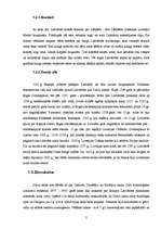 Referāts 'Lielvārdes kultūrvēsturiskie pieminekļi', 5.