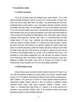 Referāts 'Lielvārdes kultūrvēsturiskie pieminekļi', 7.