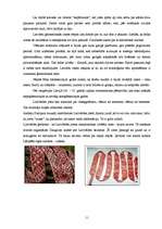 Referāts 'Lielvārdes kultūrvēsturiskie pieminekļi', 11.