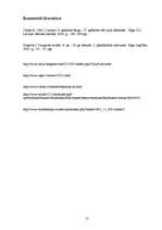 Referāts 'Lielvārdes kultūrvēsturiskie pieminekļi', 15.