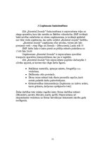 Biznesa plāns 'SIA "Essential Sounds"', 12.