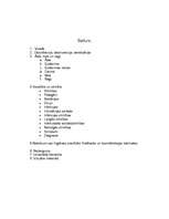 Referāts 'Dezinfekcija', 2.