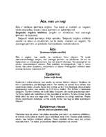 Referāts 'Dezinfekcija', 8.