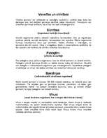 Referāts 'Dezinfekcija', 10.