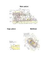 Referāts 'Dezinfekcija', 17.